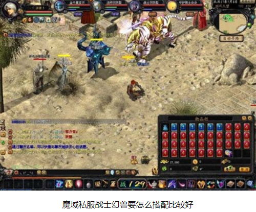 魔域私服战士幻兽要怎么搭配 - 轩辕网