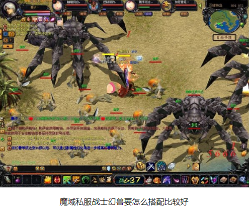 魔域私服战士幻兽要怎么搭配 - 轩辕网