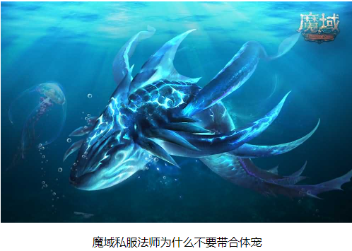 魔域私服法师为什么不要带合体宠 - 轩辕网
