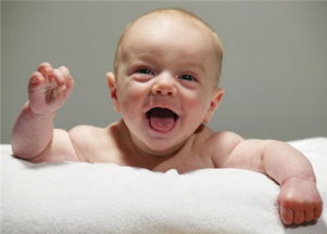 战士玩家的宝宝选择推荐 - 轩辕网