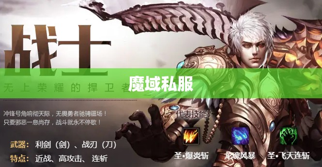 跟人对于魔域私服战士职业的建议 - 轩辕网