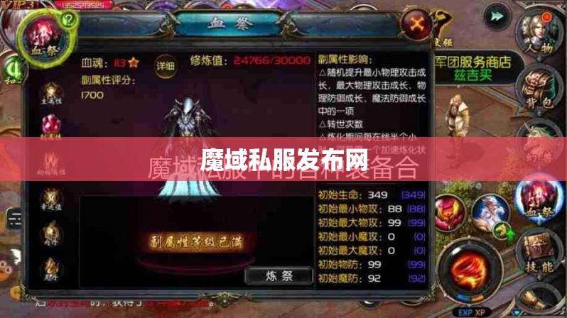 不变态的魔域私服 装备垃圾不要看 - 轩辕网