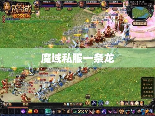 放管服魔域私服 一步一脚印坐拥千战， - 轩辕网