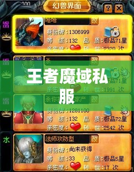 高级RMB法师是怎样花小钱炼成的 魔域私服一条龙 - 轩辕网