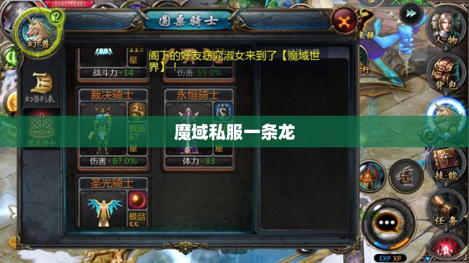 讲真魔域私服一条龙告诉你未鉴定装备的大用处 - 轩辕网