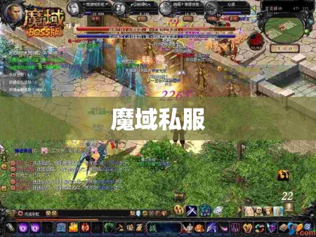 魔域私服中各职业的PK经验分享 - 轩辕网