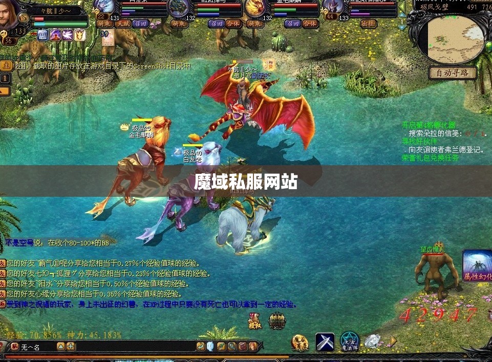 暗黑龙鸟的逆袭：揭秘魔域神秘私服网站 - 轩辕网