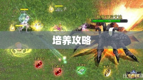 魔域幽灵兔专属攻略，助你轻松征战四方 - 轩辕网