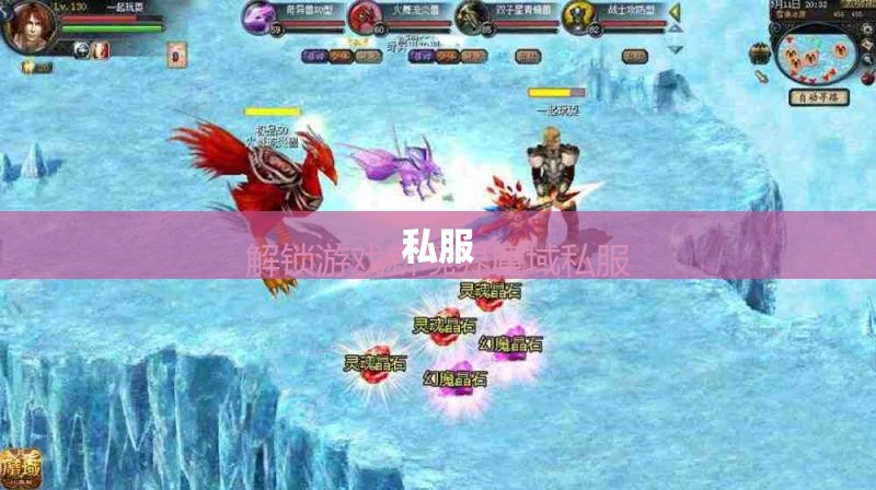 龙骑战将归来：私服魔域登陆器全面评测与攻略宝典 - 轩辕网