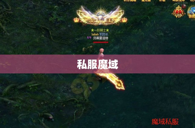 闪电之怒:一键下载私服魔域,体验极限战斗力飙升 - 轩辕网