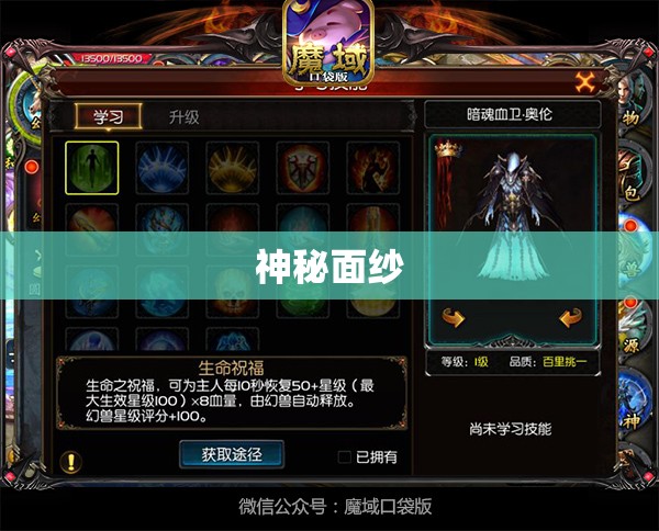 魔域神秘幻兽之旅：揭秘雷属性幻兽攻略大全 - 轩辕网