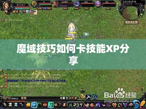 魔域技巧如何卡技能XP分享 - 轩辕网