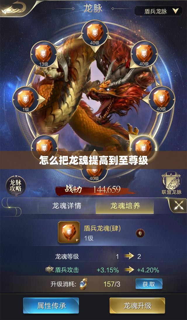 怎么把龙魂提高到至尊级 - 轩辕网