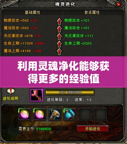 利用灵魂净化能够获得更多的经验值 - 轩辕网