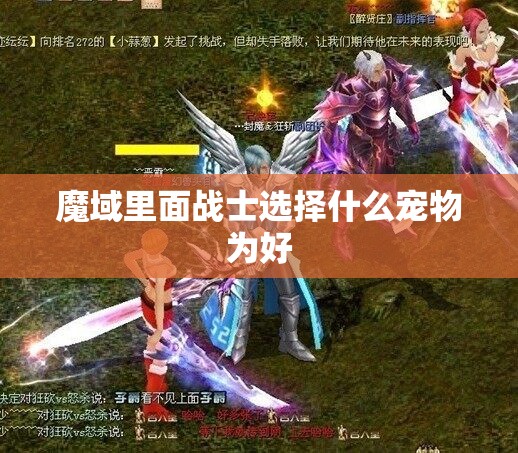 魔域里面战士选择什么宠物为好 - 轩辕网