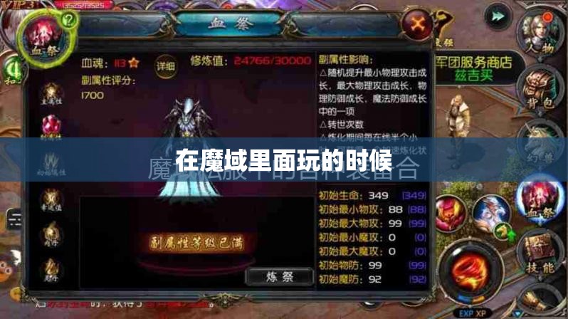 魔域里面的防具玩家们怎么使用 - 轩辕网