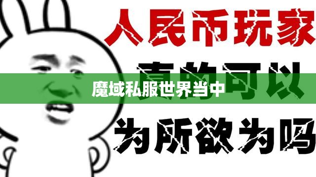 非人民币玩家如何进入高手阵营 - 轩辕网