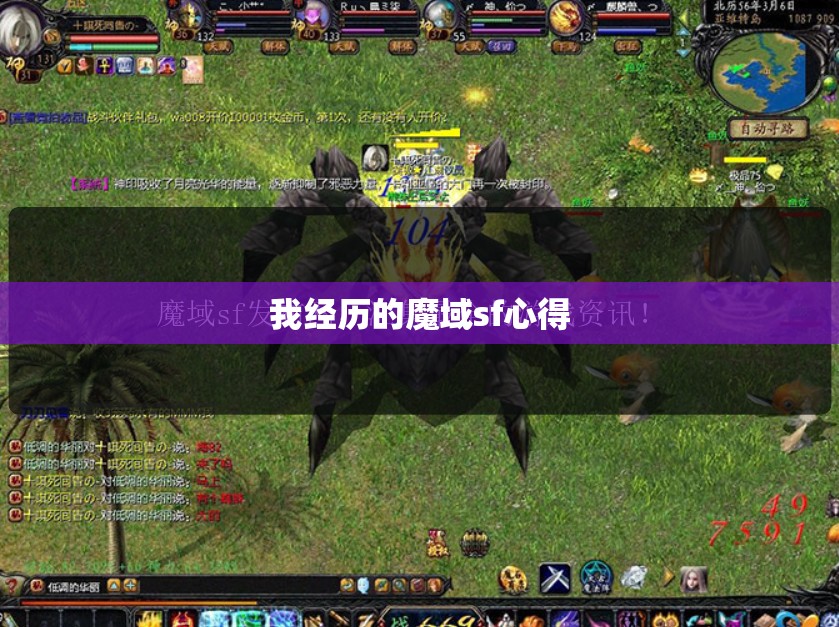 我经历的魔域sf心得 - 轩辕网