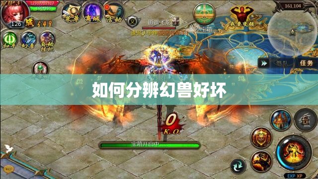 如何分辨幻兽好坏 - 轩辕网