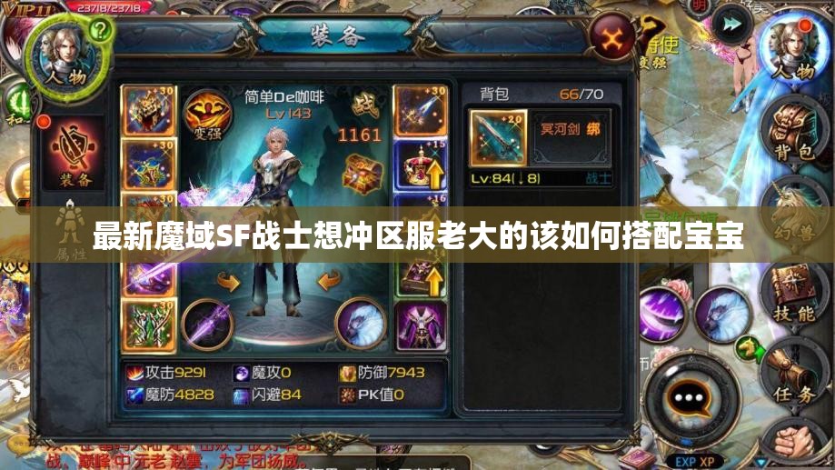 最新魔域SF战士想冲区服老大的该如何搭配宝宝 - 轩辕网