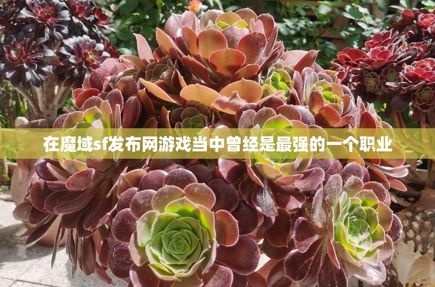 法师应该如何选择最适合自己的宝宝 - 轩辕网