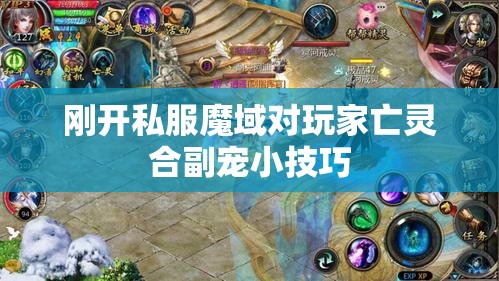 刚开私服魔域对玩家亡灵合副宠小技巧 - 轩辕网