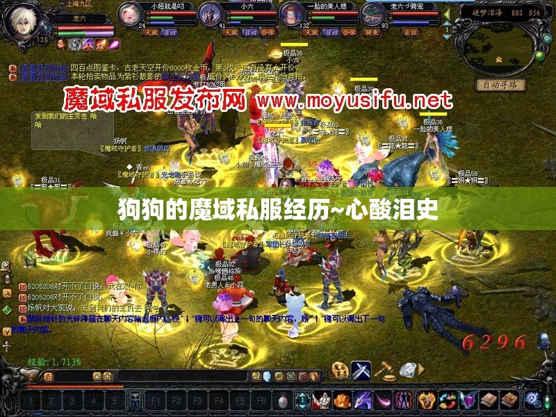 狗狗的魔域私服经历~心酸泪史 - 轩辕网