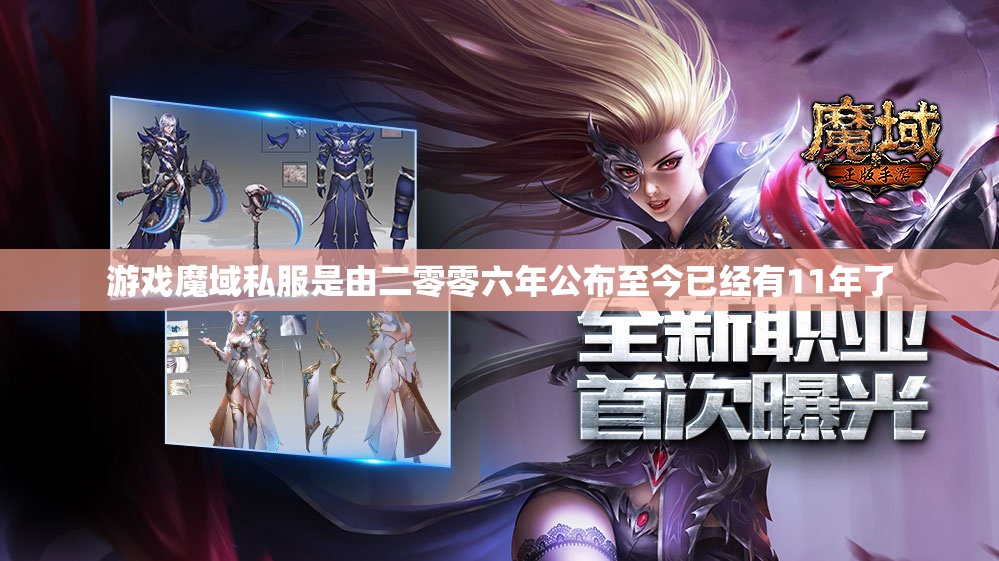 魔域私服都有哪些职业 - 轩辕网