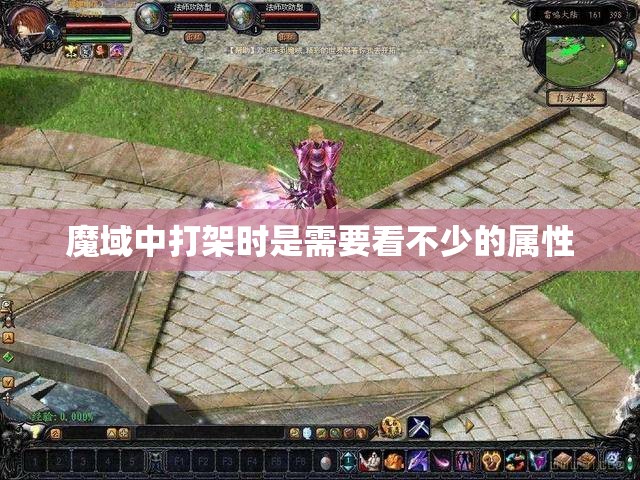 魔域中打架时是需要看不少的属性 - 轩辕网