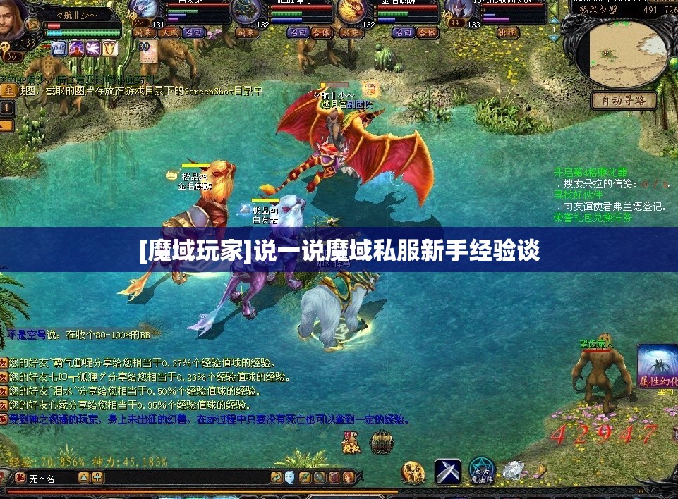 [魔域玩家]说一说魔域私服新手经验谈 - 轩辕网