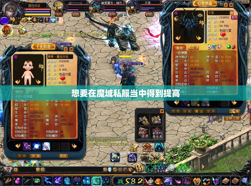 经验玩家魔域升级攻略分享 - 轩辕网