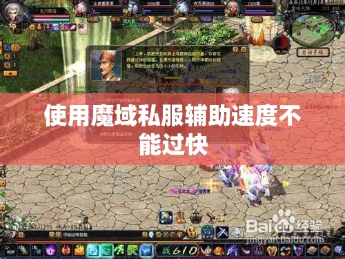 使用魔域私服辅助速度不能过快 - 轩辕网