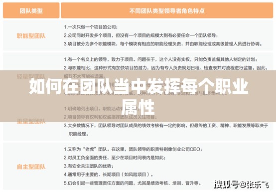 如何在团队当中发挥每个职业属性 - 轩辕网