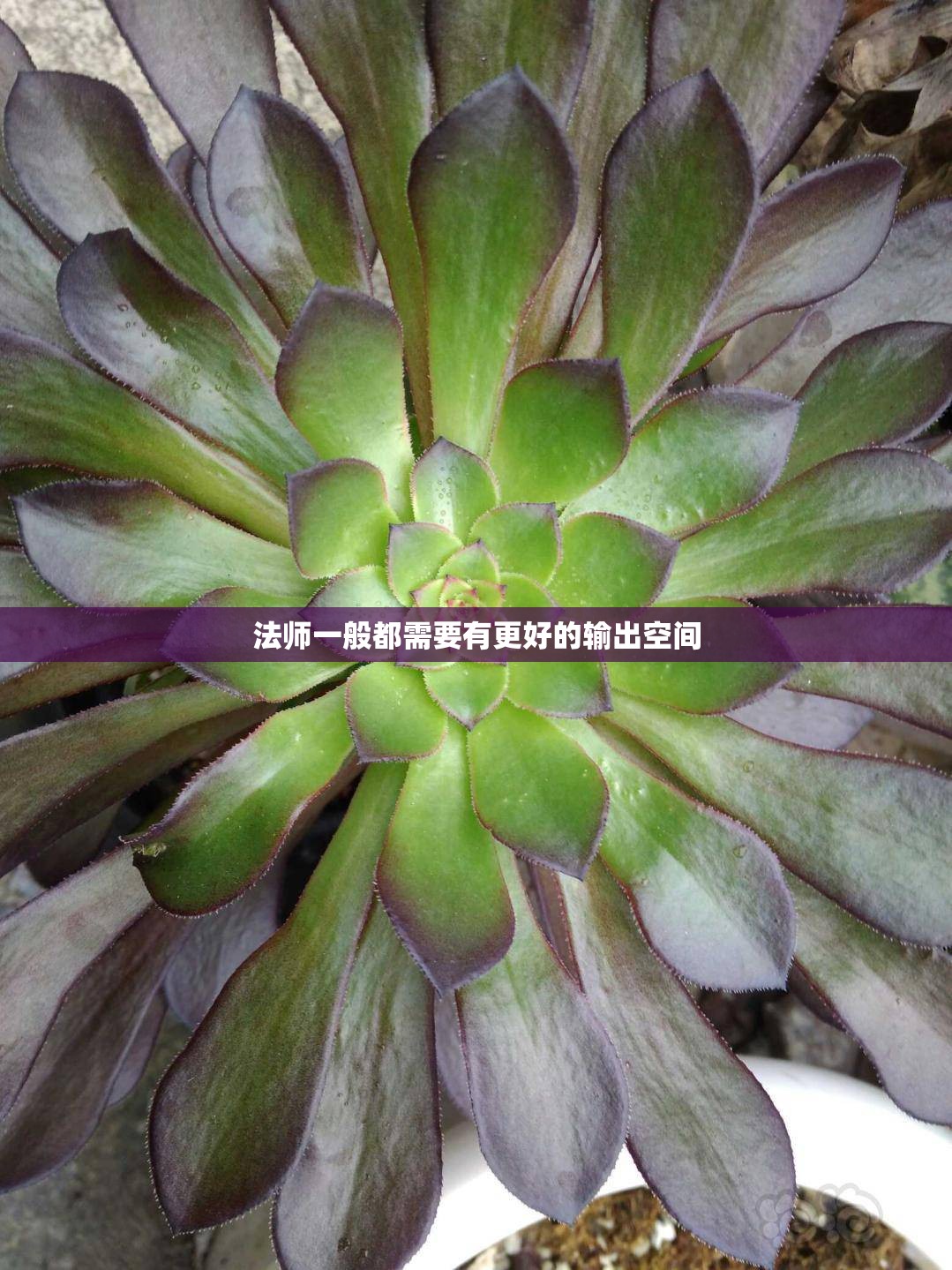 法师一般都需要有更好的输出空间 - 轩辕网