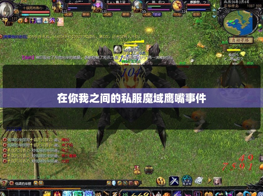在你我之间的私服魔域鹰嘴事件 - 轩辕网