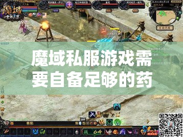 魔域私服游戏需要自备足够的药品 - 轩辕网