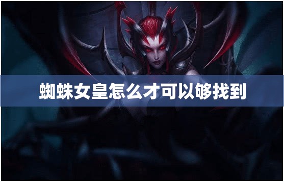 蜘蛛女皇怎么才可以够找到 - 轩辕网