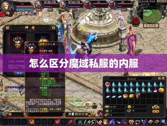 怎么区分魔域私服的内服 - 轩辕网