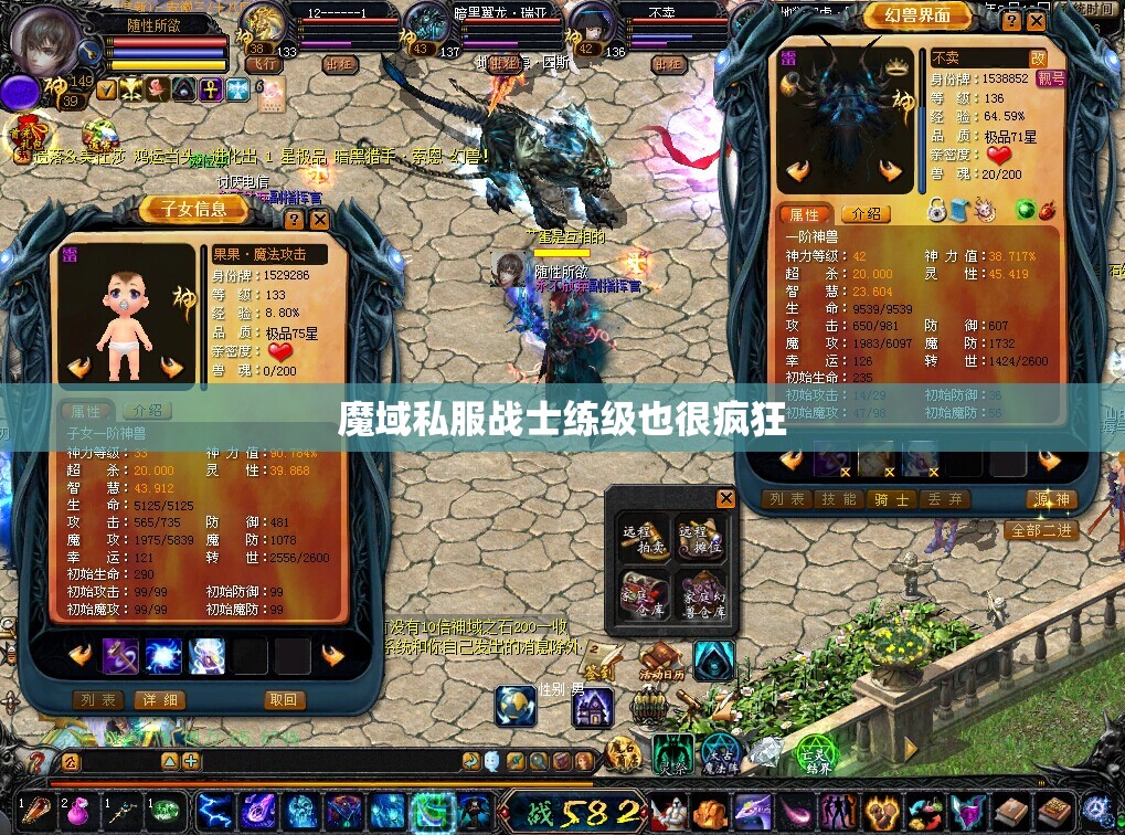 魔域私服战士练级也很疯狂 - 轩辕网