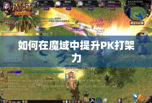 如何在魔域中提升PK打架力 - 轩辕网