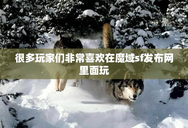 玩雪狼冰原要掌握这几个战术的使用 - 轩辕网