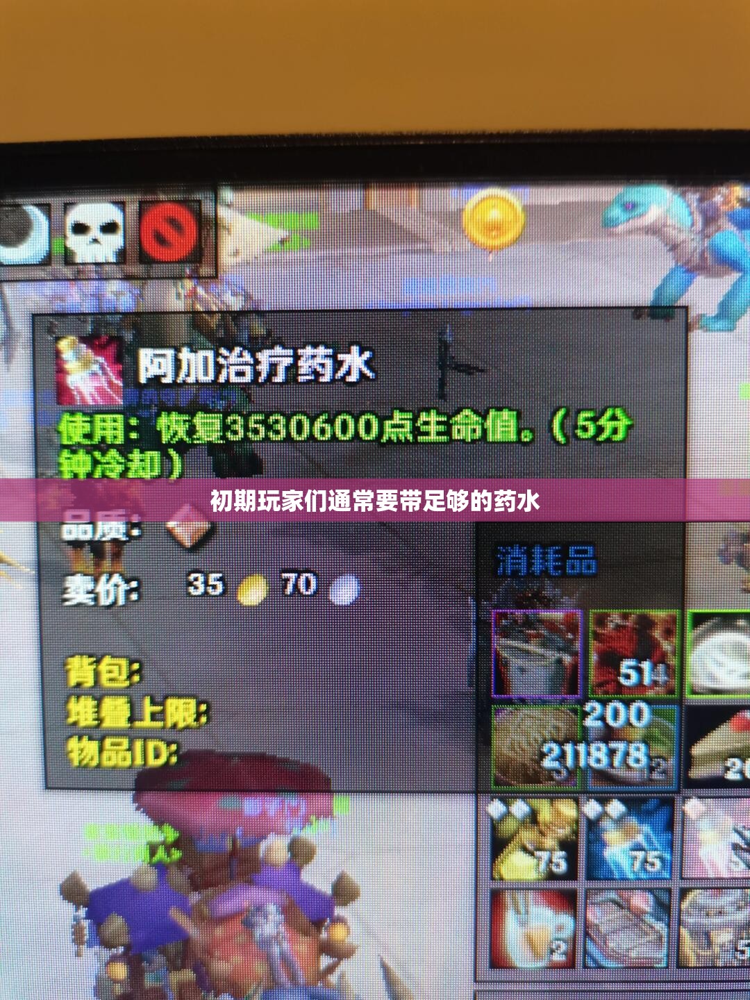 初期玩家们通常要带足够的药水 - 轩辕网
