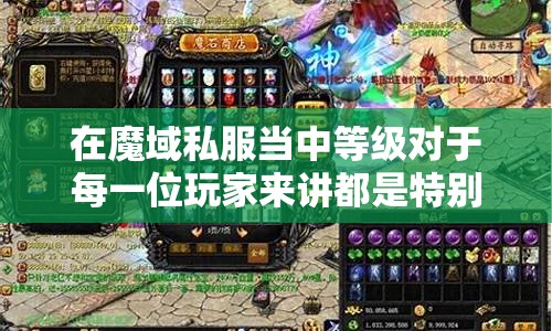 魔域私服迅速升级成长攻略 - 轩辕网