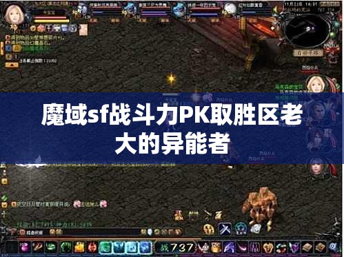 魔域sf战斗力PK取胜区老大的异能者 - 轩辕网