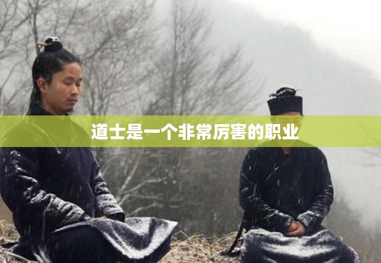 道士的治愈术效果与等级有很大关系 - 轩辕网