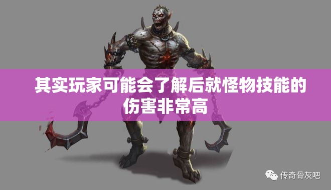 高等级的骷髅怪物伤害非常高 - 轩辕网